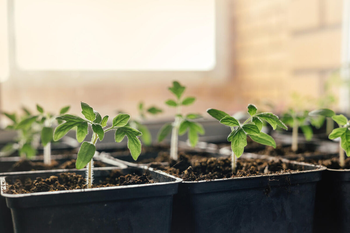     123RF/legion-media.ru