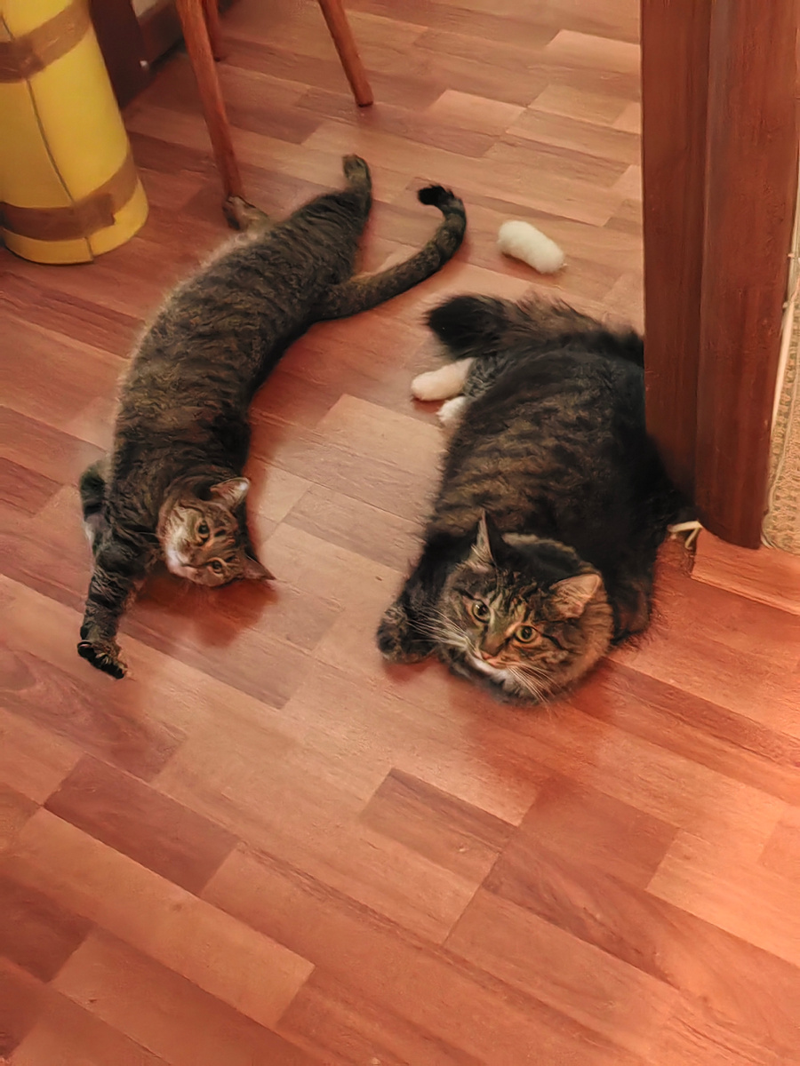 Чего там у нас нового из дома?