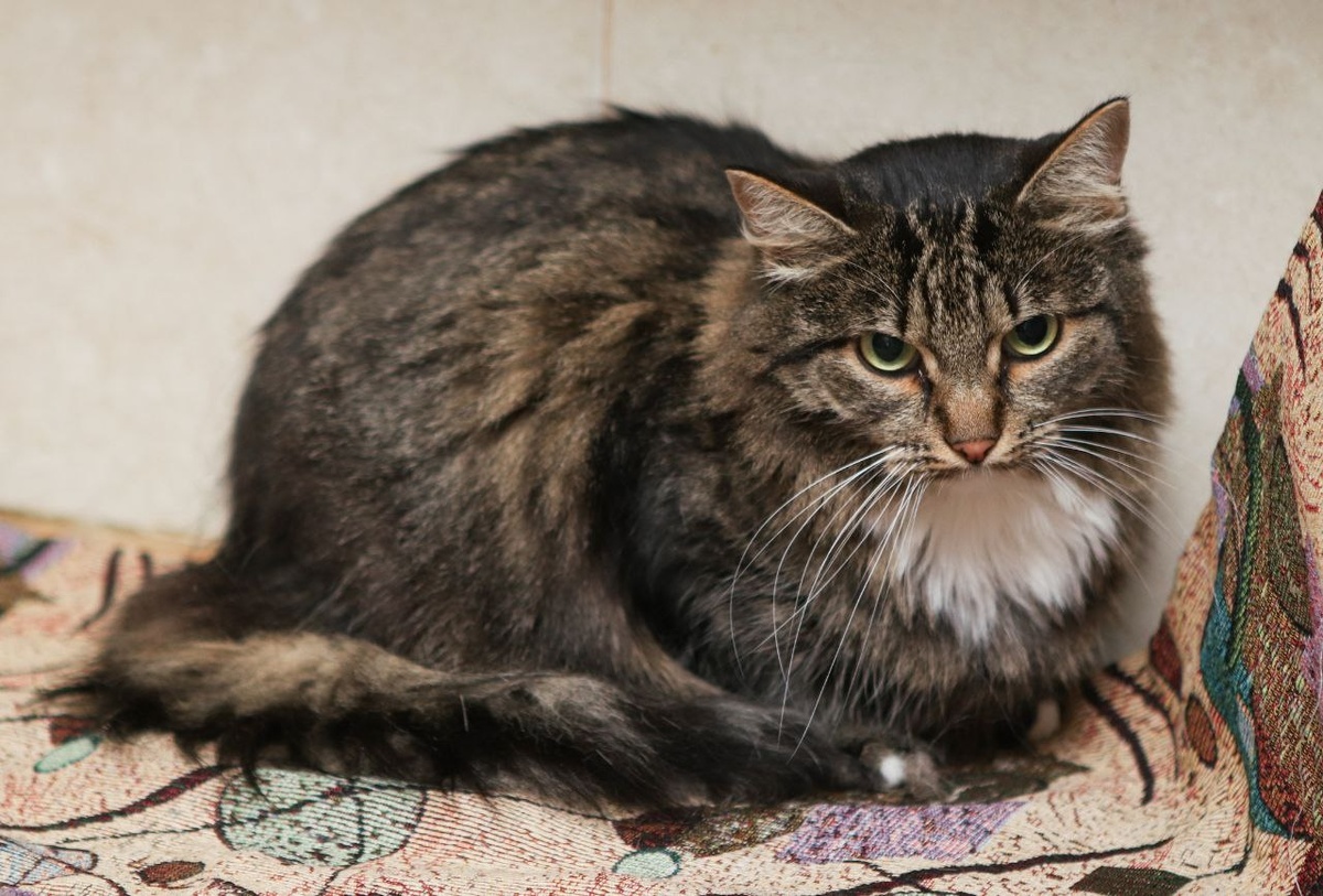 Какая есть. Чему на улице научили!