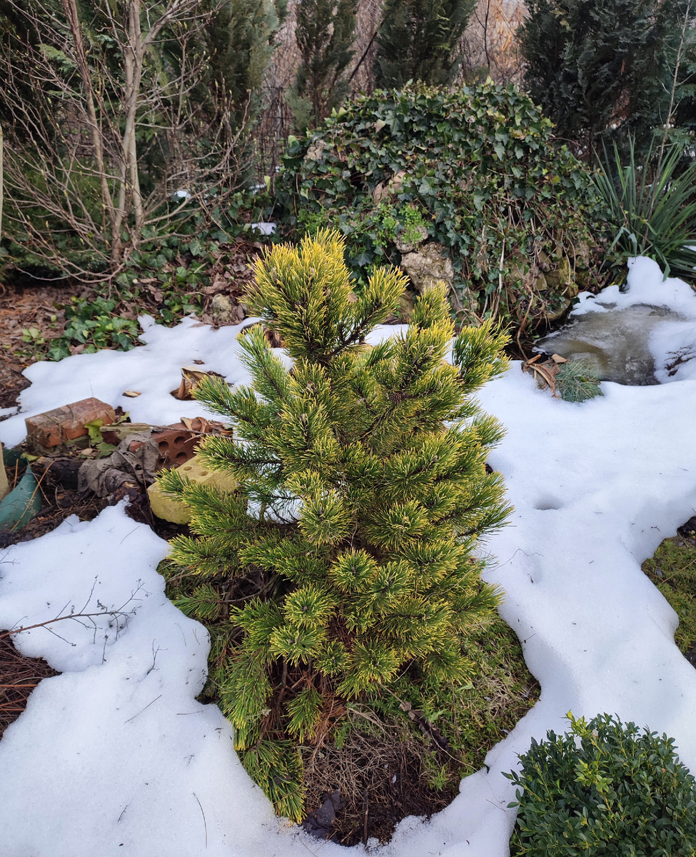 фото сделано 11.01.2026 г.