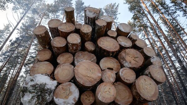    © Sputnik / Александр Кряжев