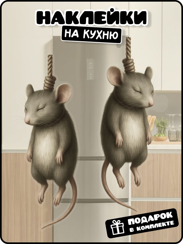 Фото из интернета.