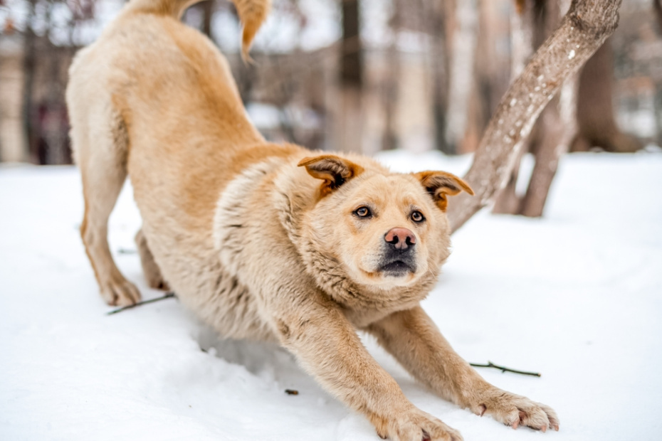    Shutterstock/FOTODOM