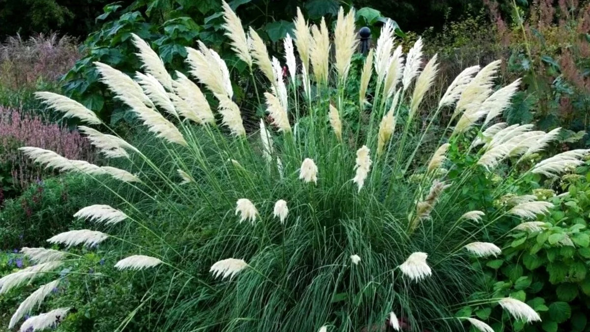 Только травы делают луг лугом.