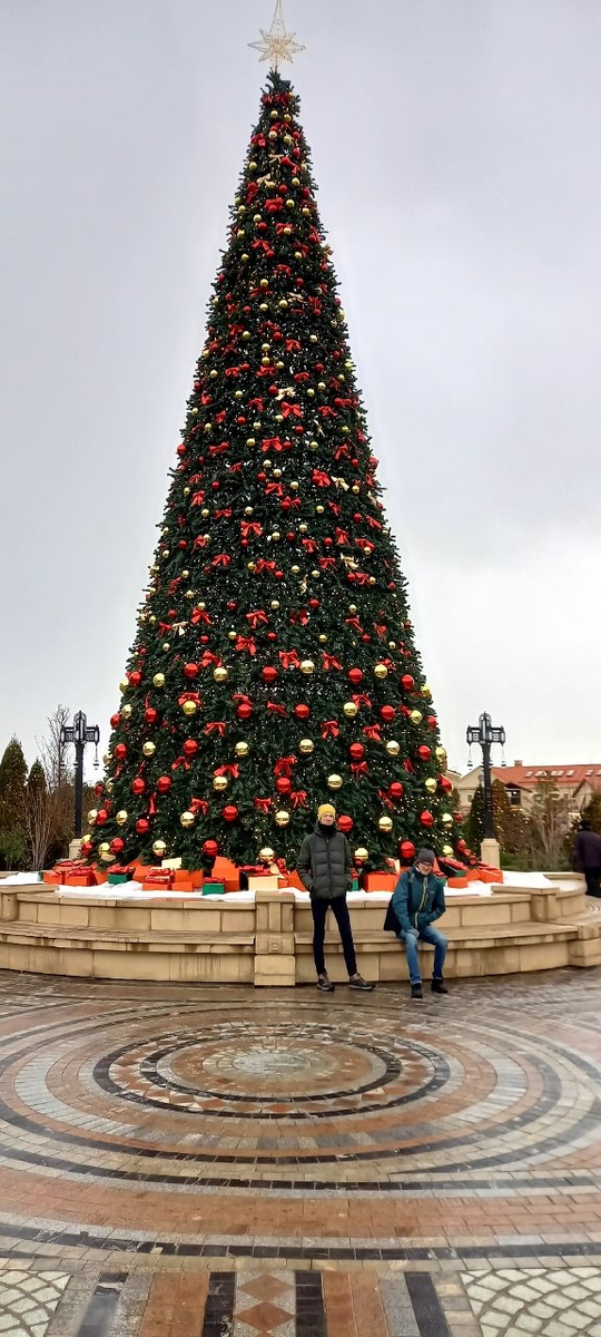 Херсонес, Севастополь. 29 декабря 2025 года.