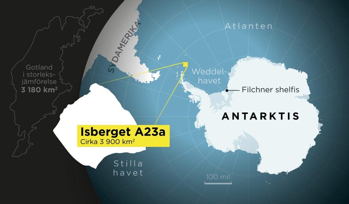 Фото: deepseareporter.com