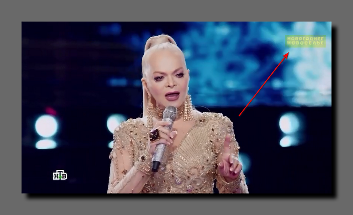 Лариса Долина. Стоп-кадр