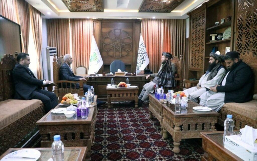 Фото: Министерство сельского хозяйства, ирригации и животноводства Афганистана