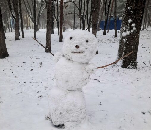    Фото: "Югополис"