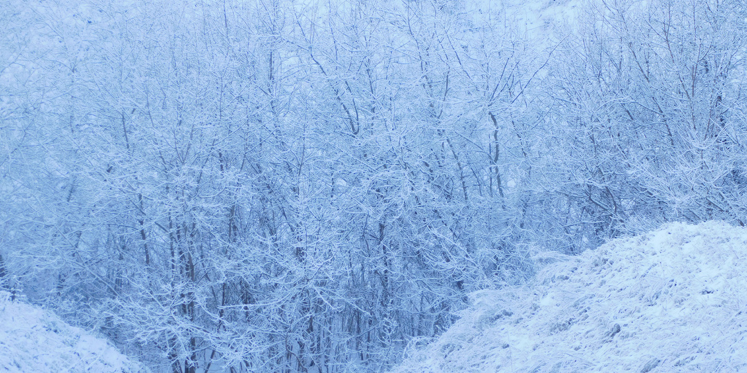 Плывёт за окошком, как прежде, зима