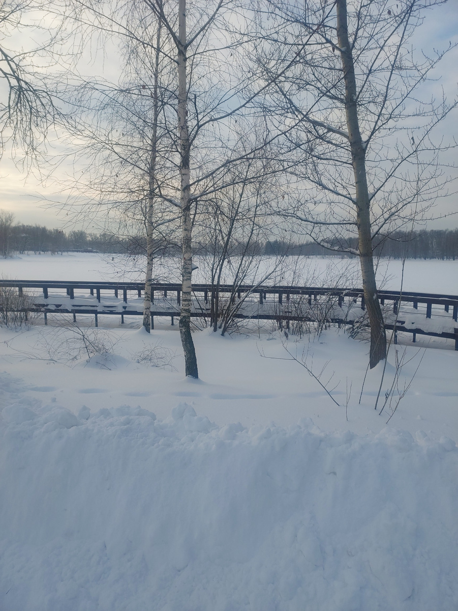 Светлоярский парк зимой