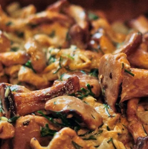 🍽️ Грибы табака 🍀 Комиссаров Эдуард Михайлович 🍀 Вкусные рецепты 2026