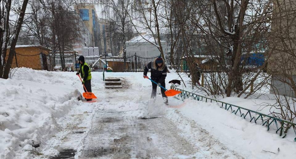    Глава Дмитровского муниципального округа Московской области Михаил Шувалов / Telegram