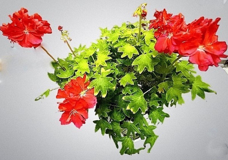 Kitbridge в своём репертуаре. Даже не помню, удалось лди ему отдохнуть от летних трудов.