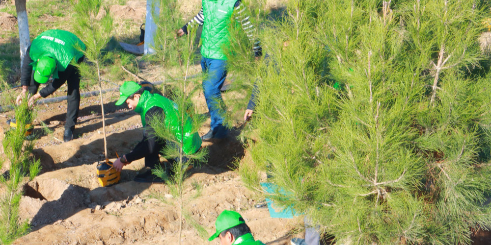 Источник: caravan-info.uz