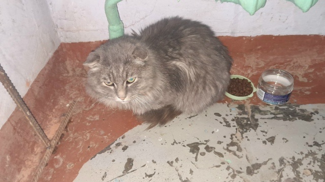 Фото из соцсетей ВКонтакте