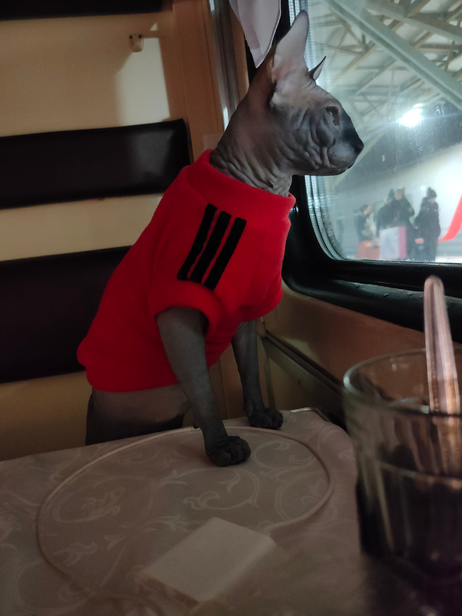 Новогодние путешествие.