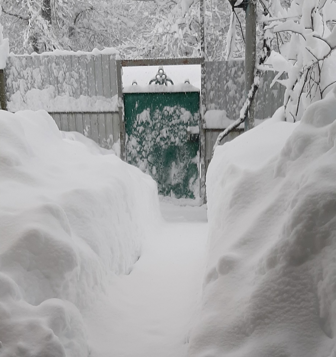 Откопали тропинку к калитке