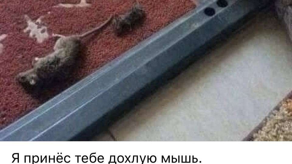 Просто замечательное стихотворение