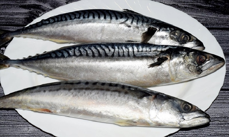Секрет идеальной скумбрии: как засолить рыбу дома за пять минут и удивить всех вкусом «красной рыбы»