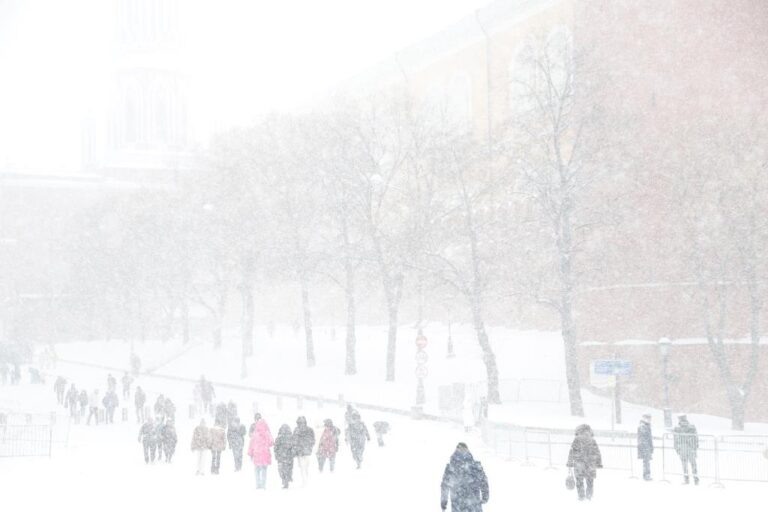    Фото: Общественная Служба Новостей Анастасия Аржевитина