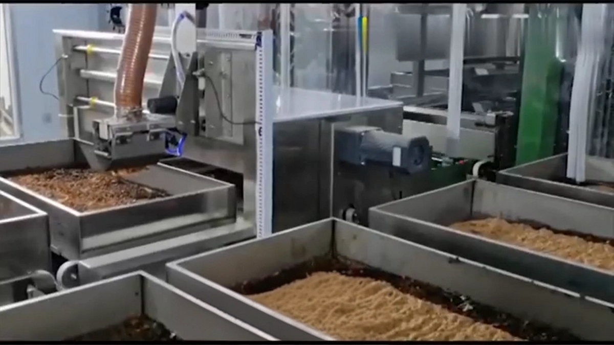 Единственный, но очень существенный недостаток культивации личинки в полностью автоматических фермах – высокие капитальные затраты на производство.