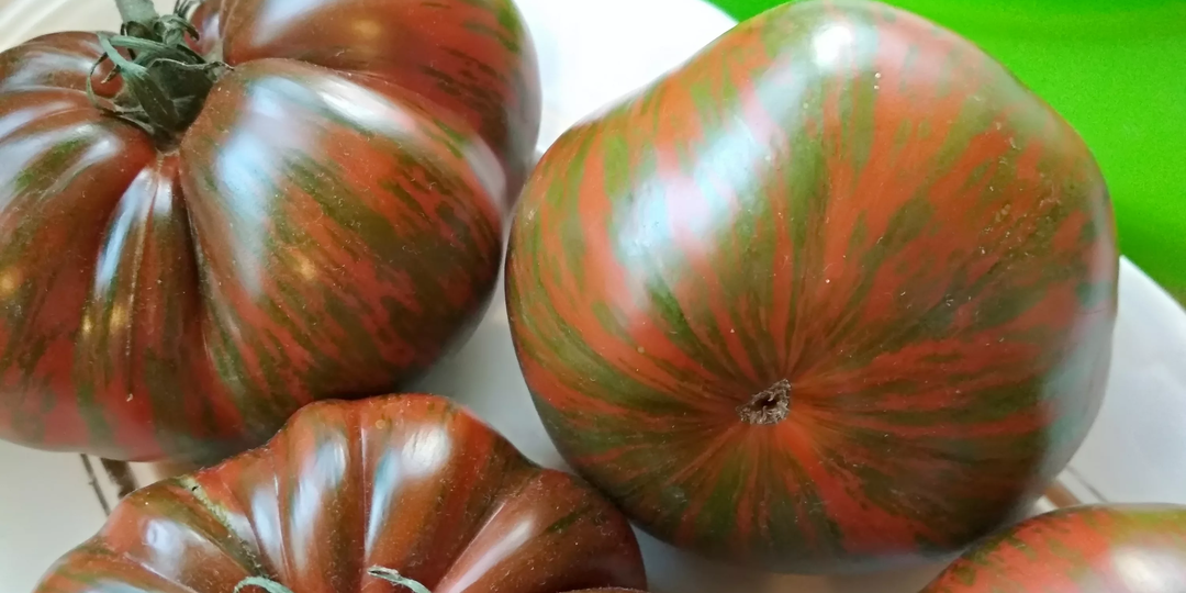 15 урожайных сортов биф‑томатов: выбираем лучшие для теплицы и открытого грунта