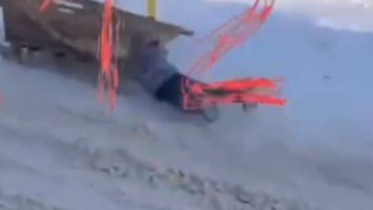    Фото: скриншот / 112 / Telegram