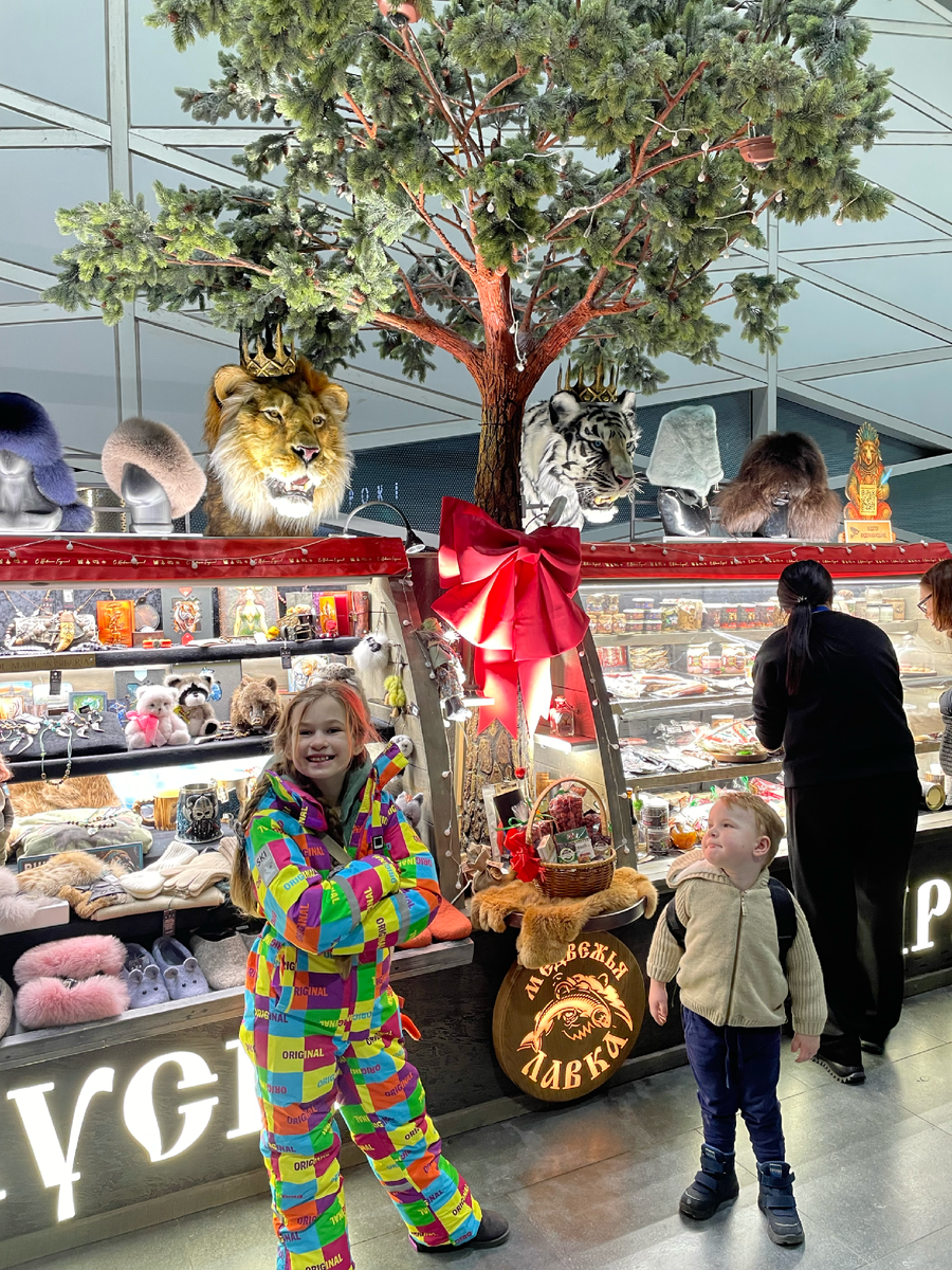 прошли досмотр