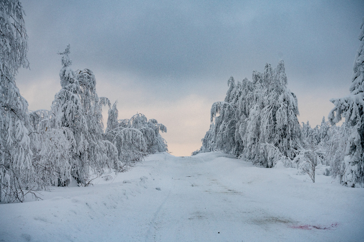 дорога к Каменному городу