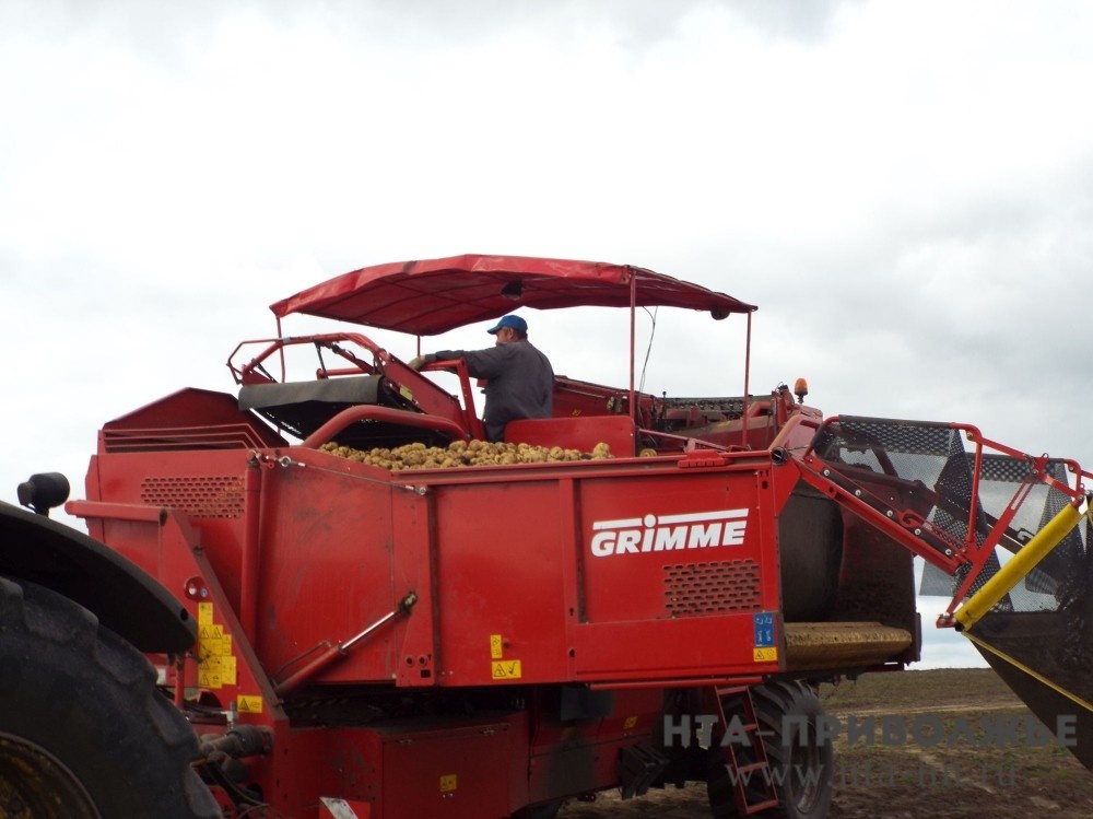    Более 43 млн рублей получили нижегородские сельхозпотребкооперативы в 2025 году