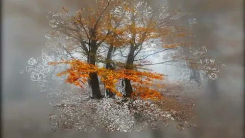 Картинка из интернета.