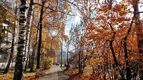 Картинка из интернета.