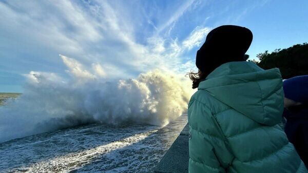    © Telegram-канал главы администрации Ялты Янины Павленко