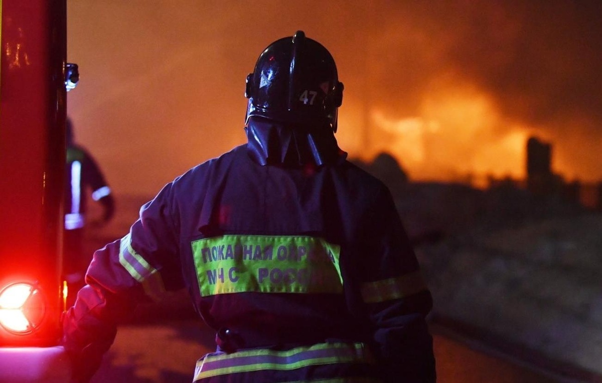 Максим Григорьев/ ТАСС, архив