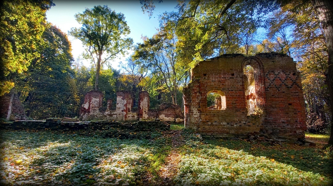 Фото автора статьи, октябрь 2025 г.