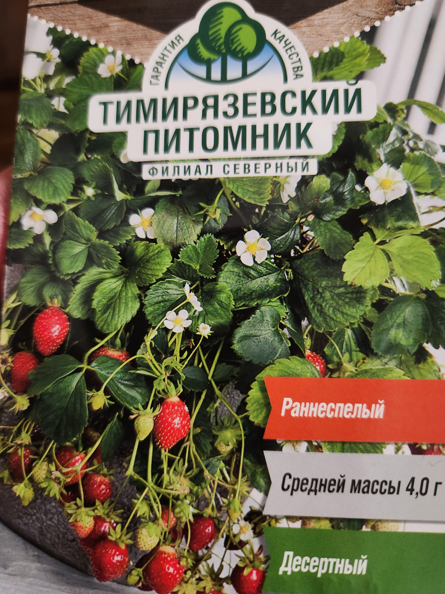 Сорт года, великолепен как для сада, так и для промышленного выращивания