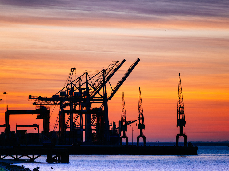     Источник: wirestock/FreePik