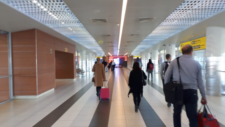    Фото: Rakoon, CC0, via Wikimedia Commons Ирина Моргунова