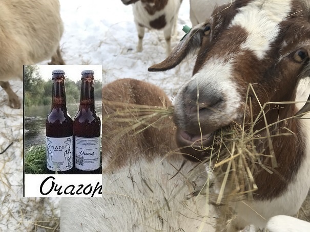 Замело, все попрятались по берлогам и … сказка