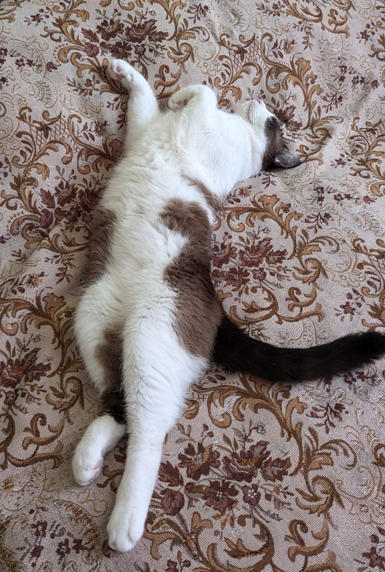 Ну вот поели, поели, можно и поспать....