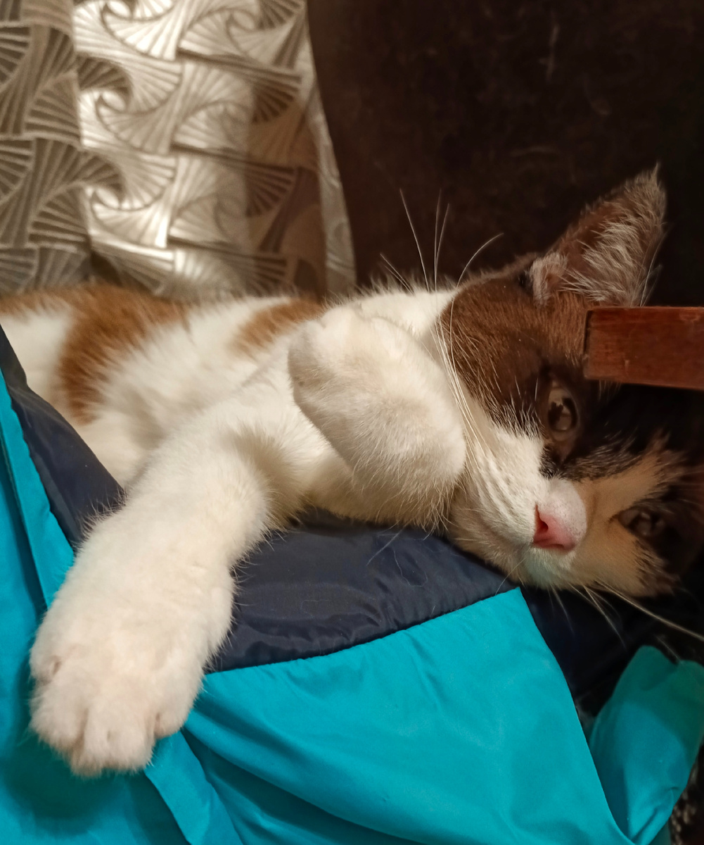 Теперь думаю что бы поесть....