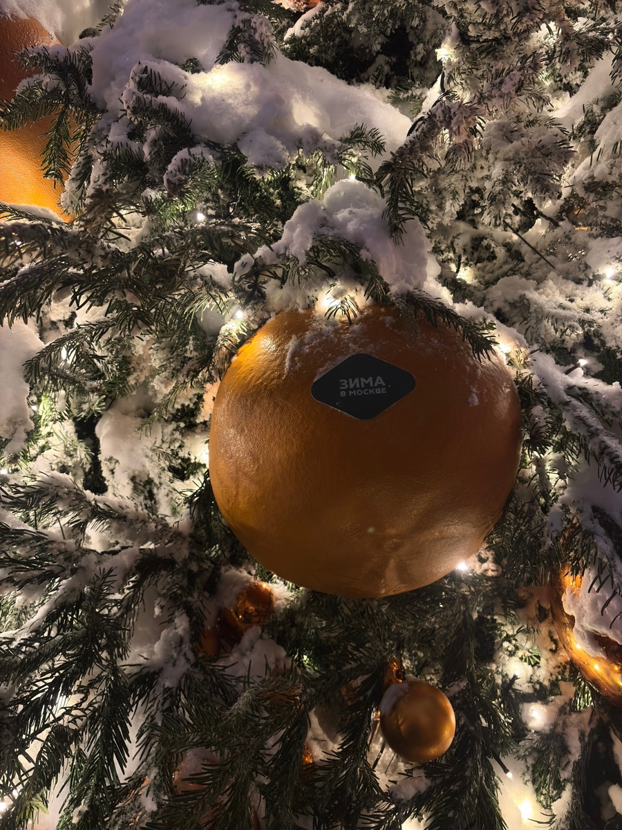 Фото Егор Бабич Мандарин на ёлке на Арбате
