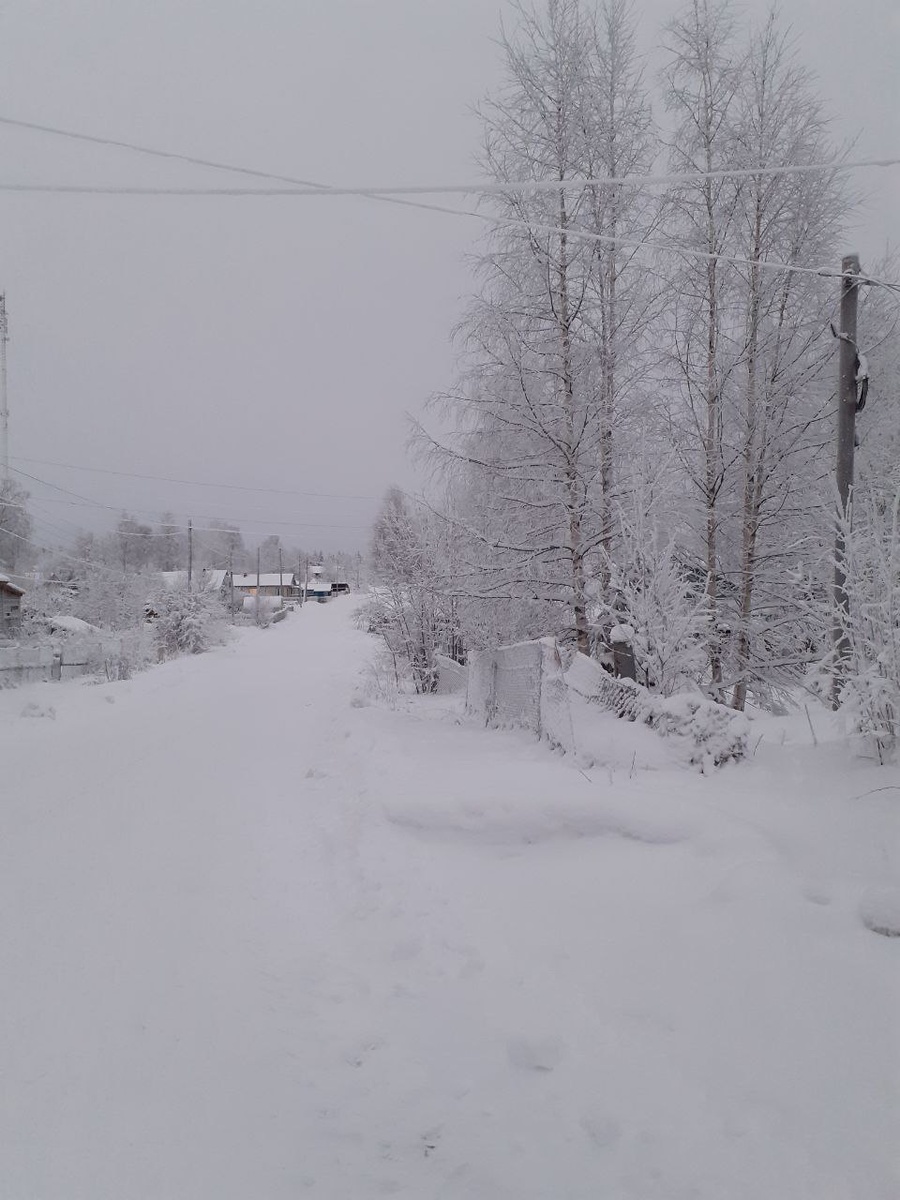 Тишина...и снег вокруг