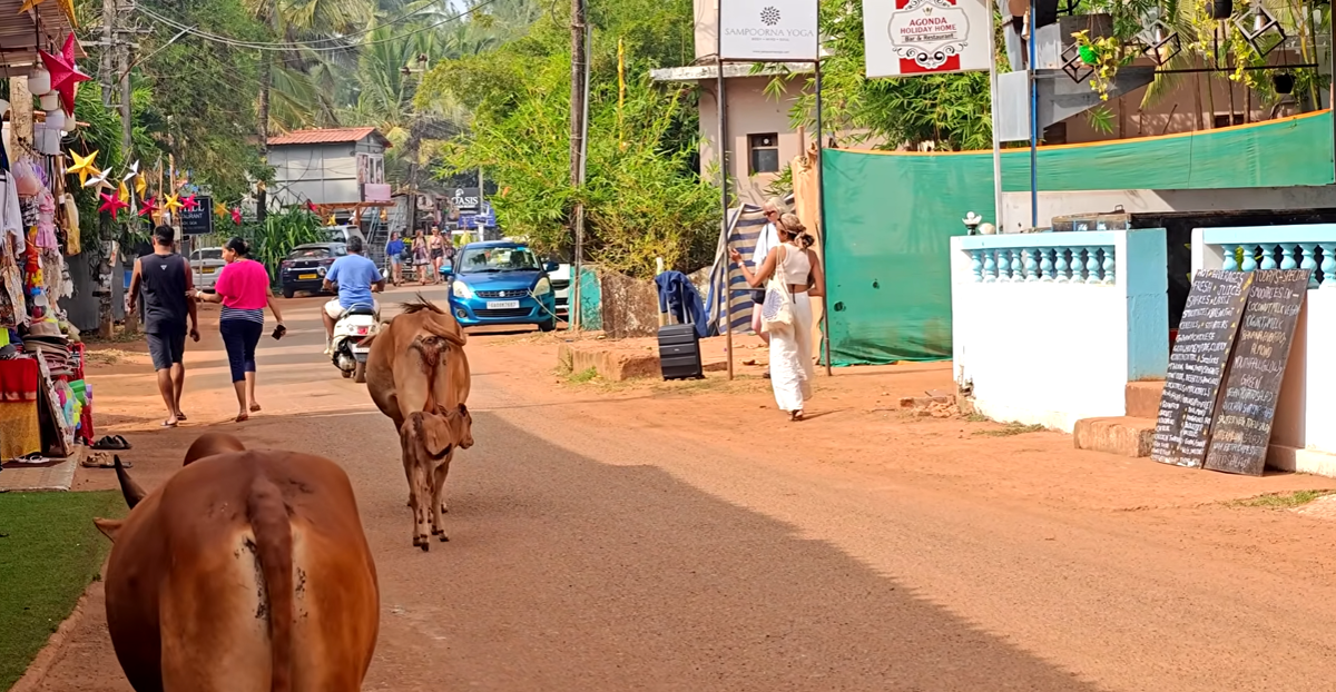 Улица в Агонде