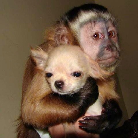 Источник фото: Pinterest