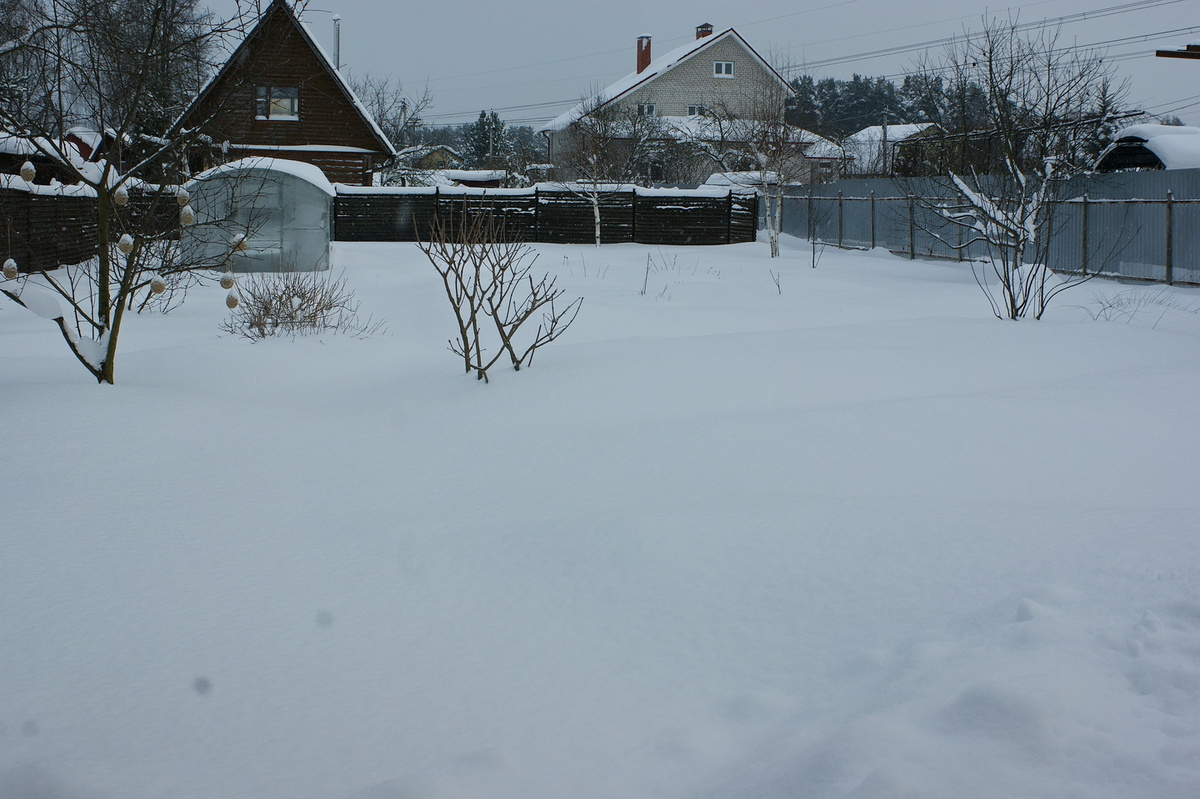 Дорожки придётся восстанавливать, чтобы было где бегать и играть.