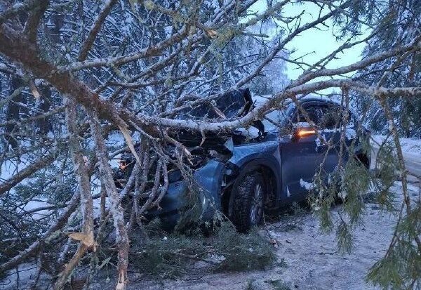    Фото: группа "ПУВР" ВКонтакте