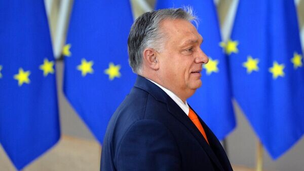    © Sputnik / Алексей Витвицкий