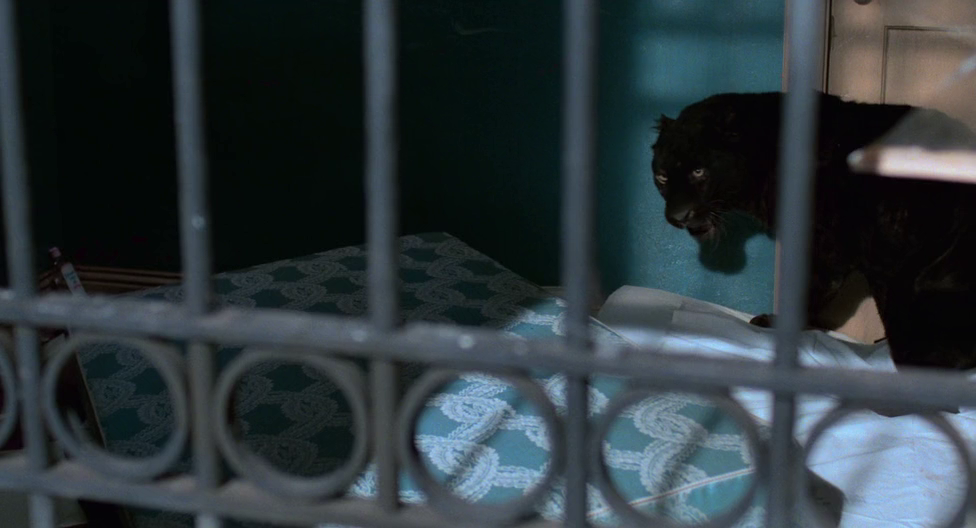 Кадр из фильма "Люди-кошки" (1982)